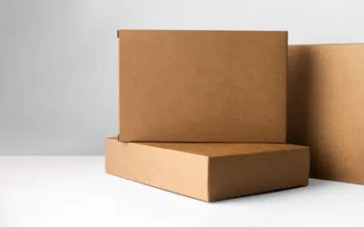 Blog 21 Kraft Boxes – Benefits