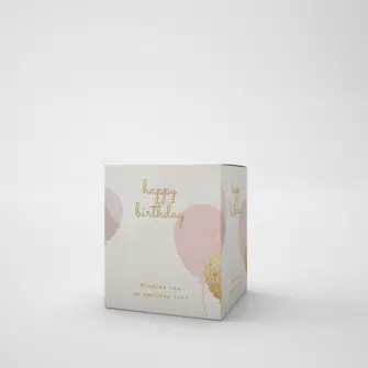 Party Boxes